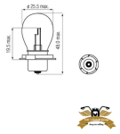 Birne Klarglas P26S 6V 15W Glühbirne Mofa Moped...