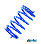 Gegendruckfeder Polini blau +15 % Druckfeder Wandler...